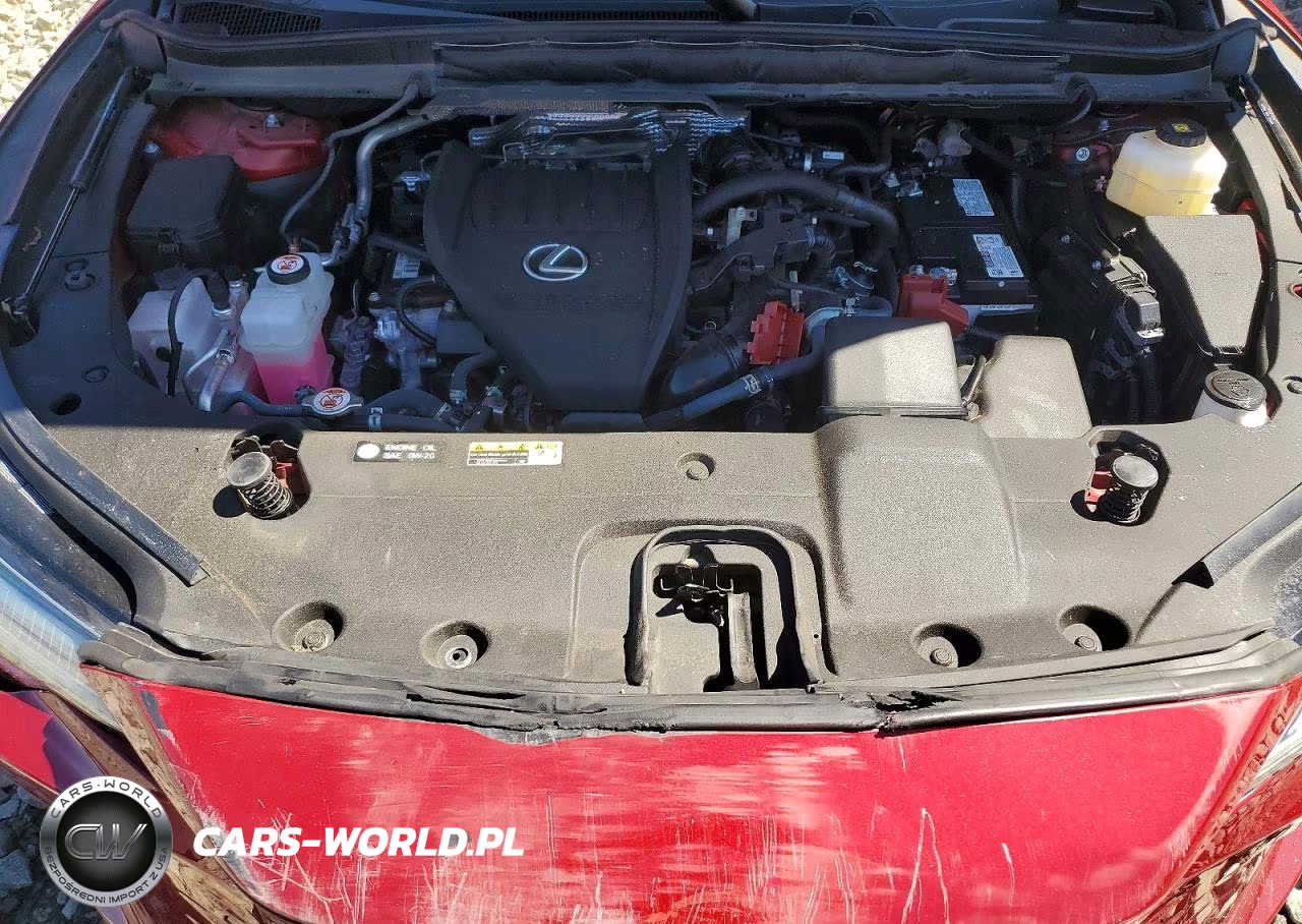 2024 Lexus Rx 350 Luxury VIN:2T2BAMCA4RC069760 - 12