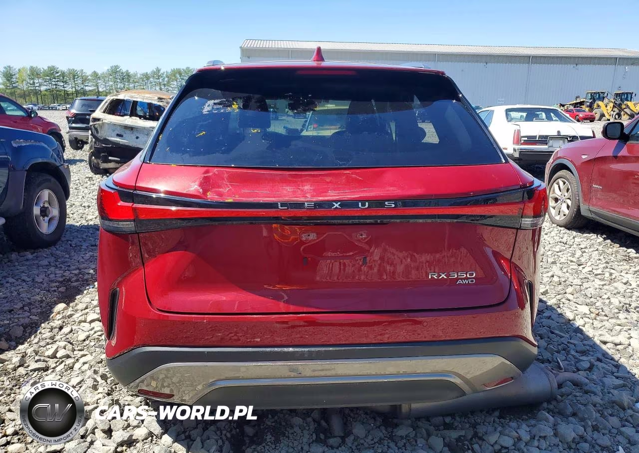 2024 Lexus Rx 350 Luxury VIN:2T2BAMCA4RC069760 - 6