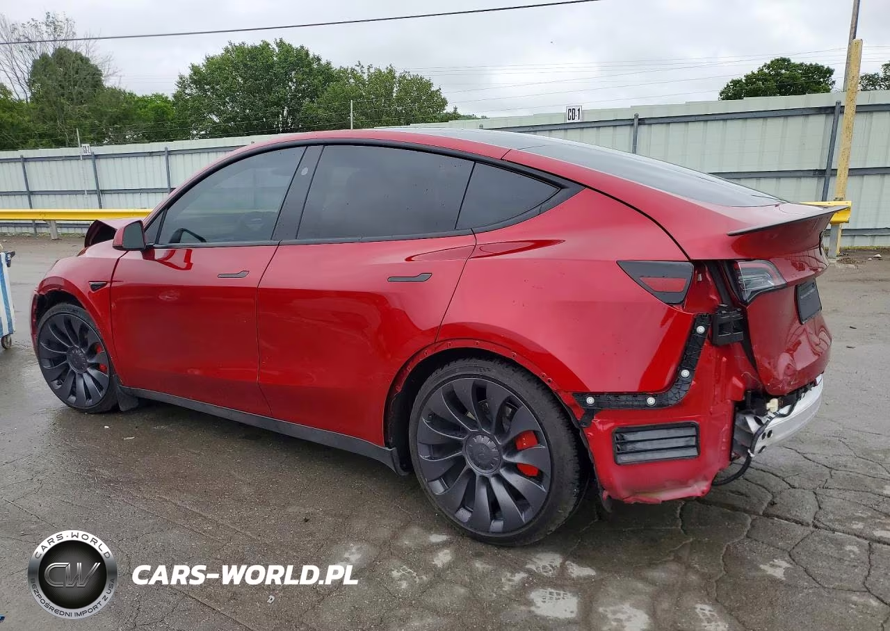 2024 Tesla Model Y VIN:7SAYGDEF5RF033449 - 2