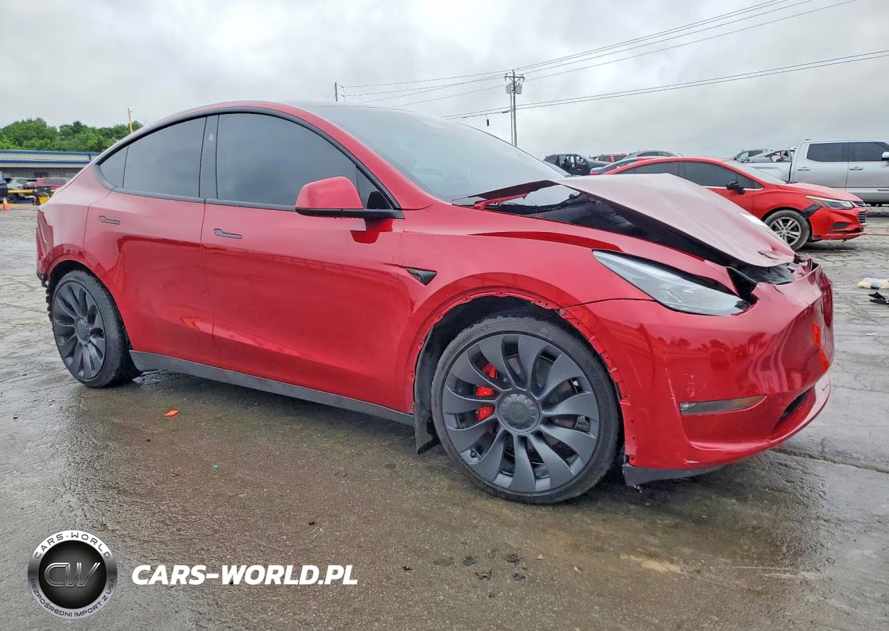 2024 Tesla Model Y VIN:7SAYGDEF5RF033449 - 4
