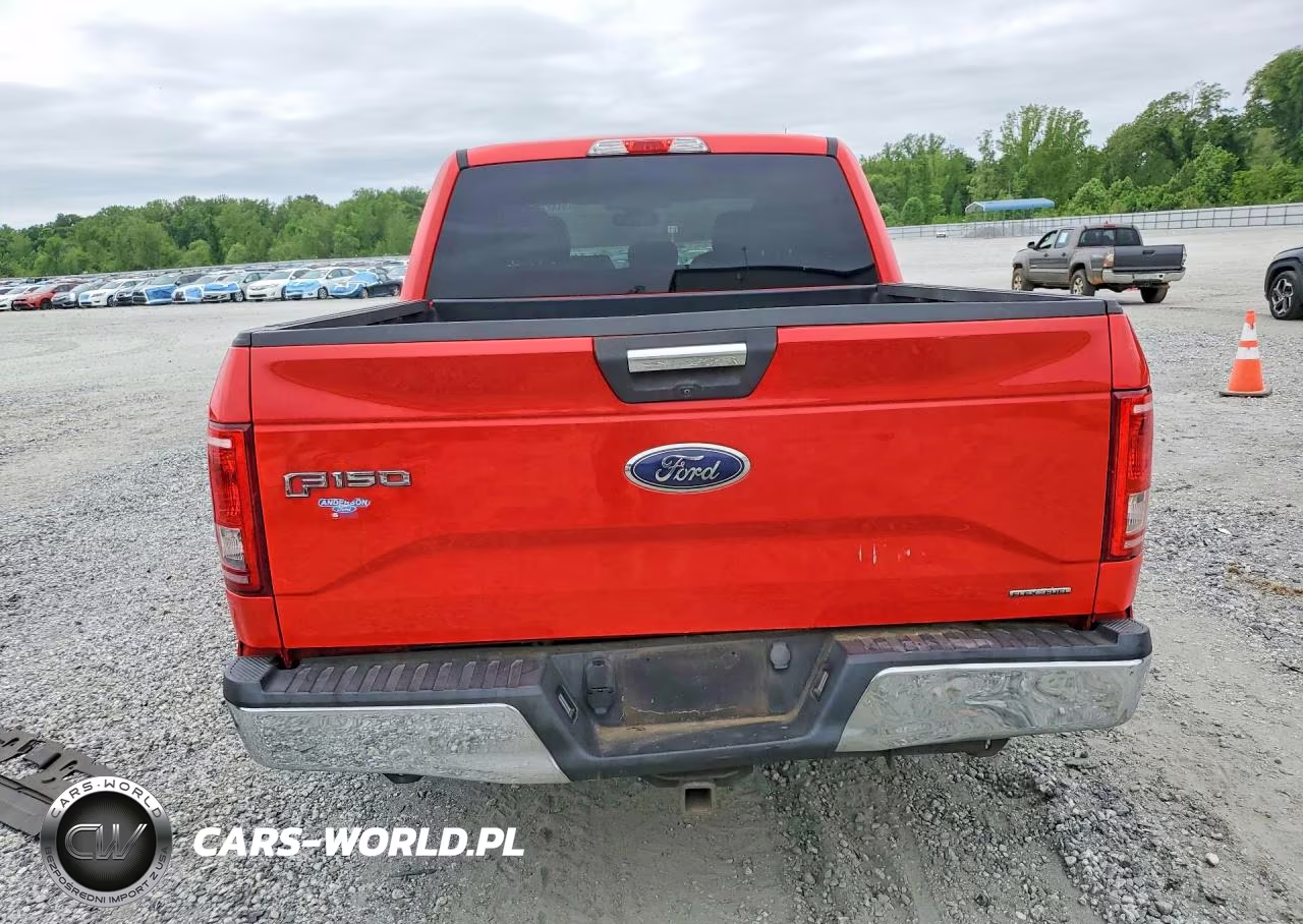 2015 Ford F150 Supercrew VIN:1FTEW1C85FFB94624 - 6