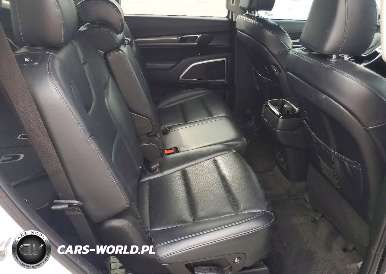 2020 Kia Telluride Lx VIN:5XYP2DHC8LG010739 - 11