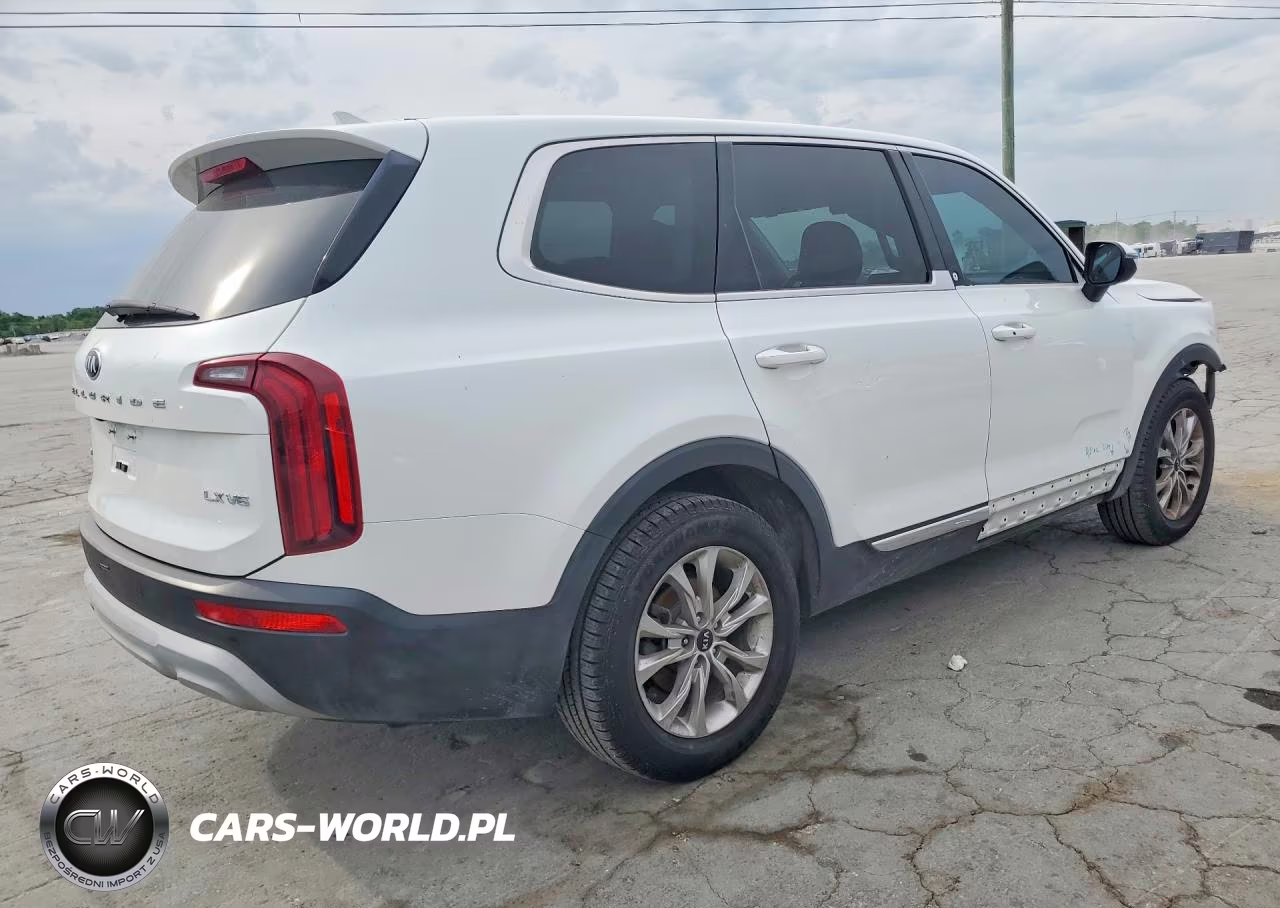 2020 Kia Telluride Lx VIN:5XYP2DHC8LG010739 - 3