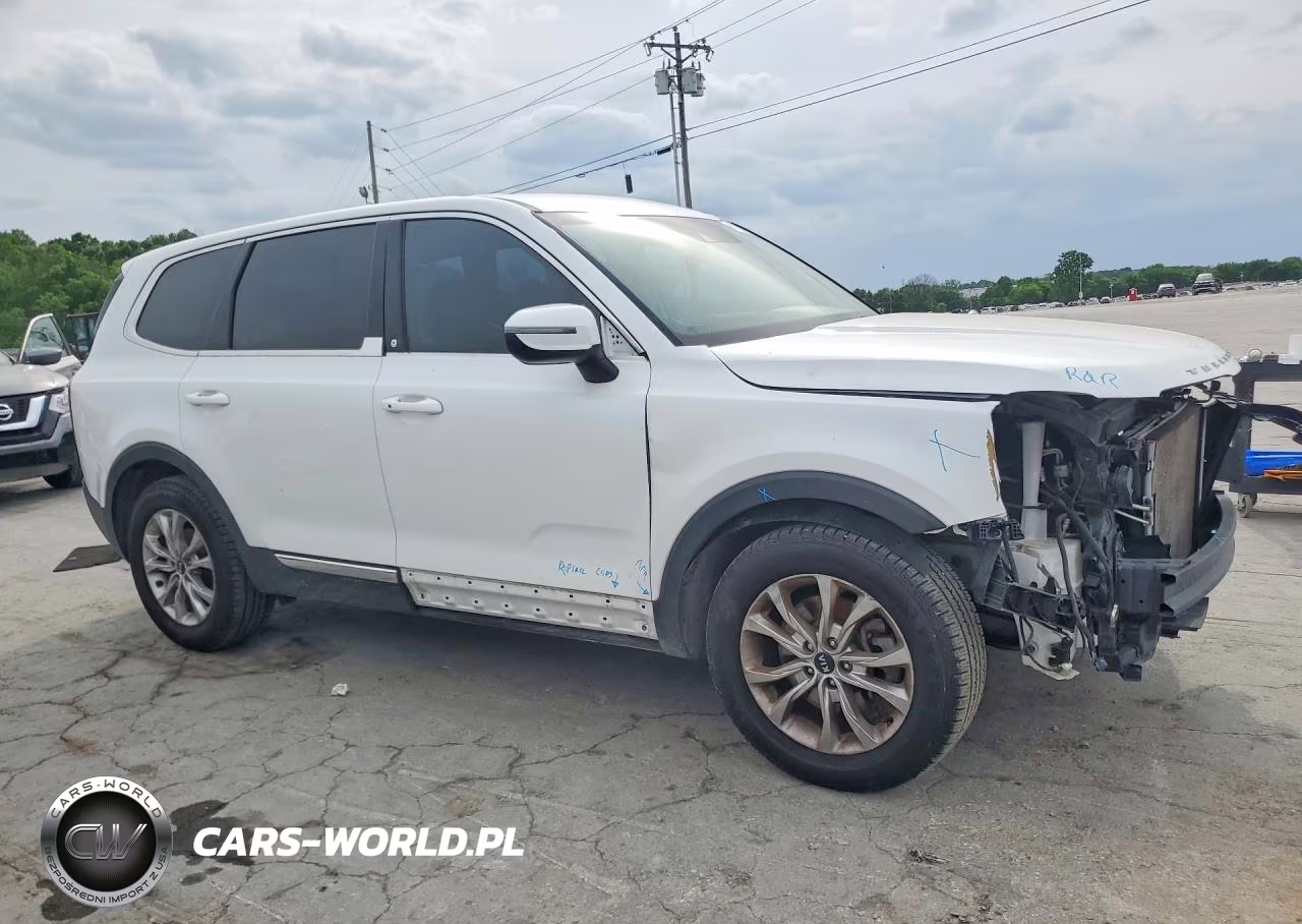 2020 Kia Telluride Lx VIN:5XYP2DHC8LG010739 - 4