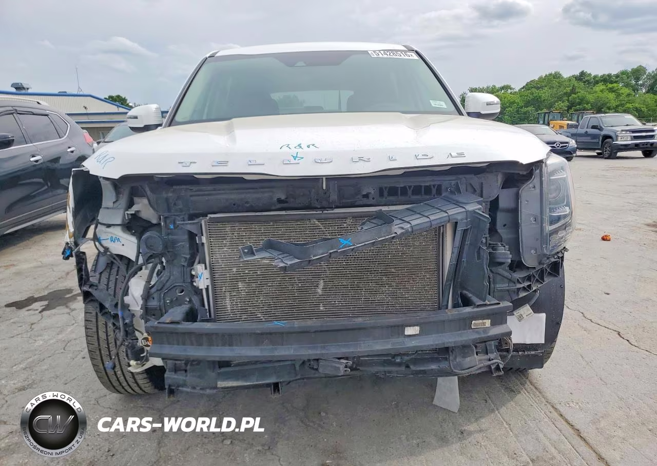2020 Kia Telluride Lx VIN:5XYP2DHC8LG010739 - 5