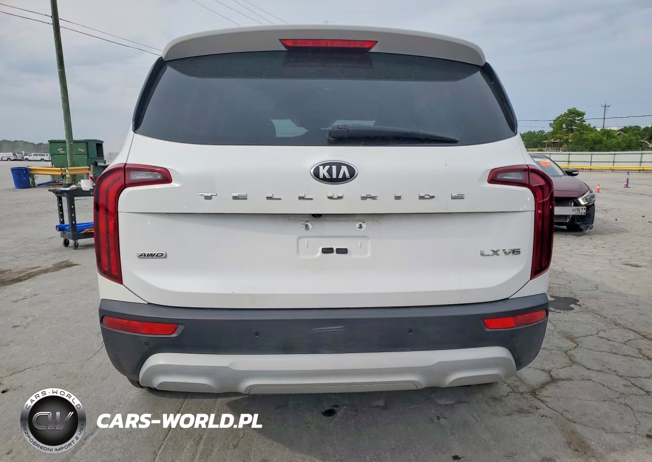 2020 Kia Telluride Lx VIN:5XYP2DHC8LG010739 - 6