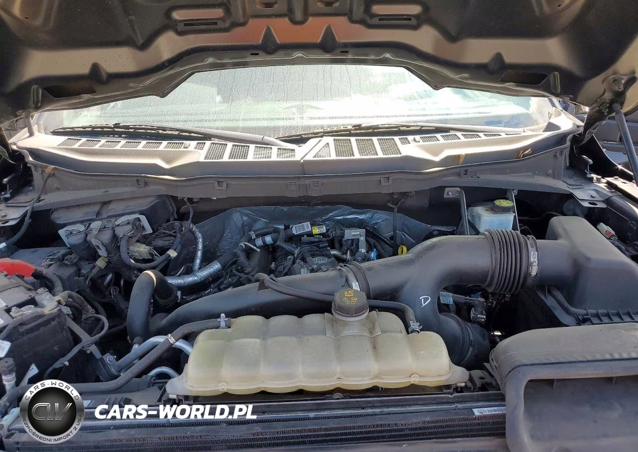 2021 Ford F150 Supercrew VIN:1FTEW1CP7MFC69604 - 11