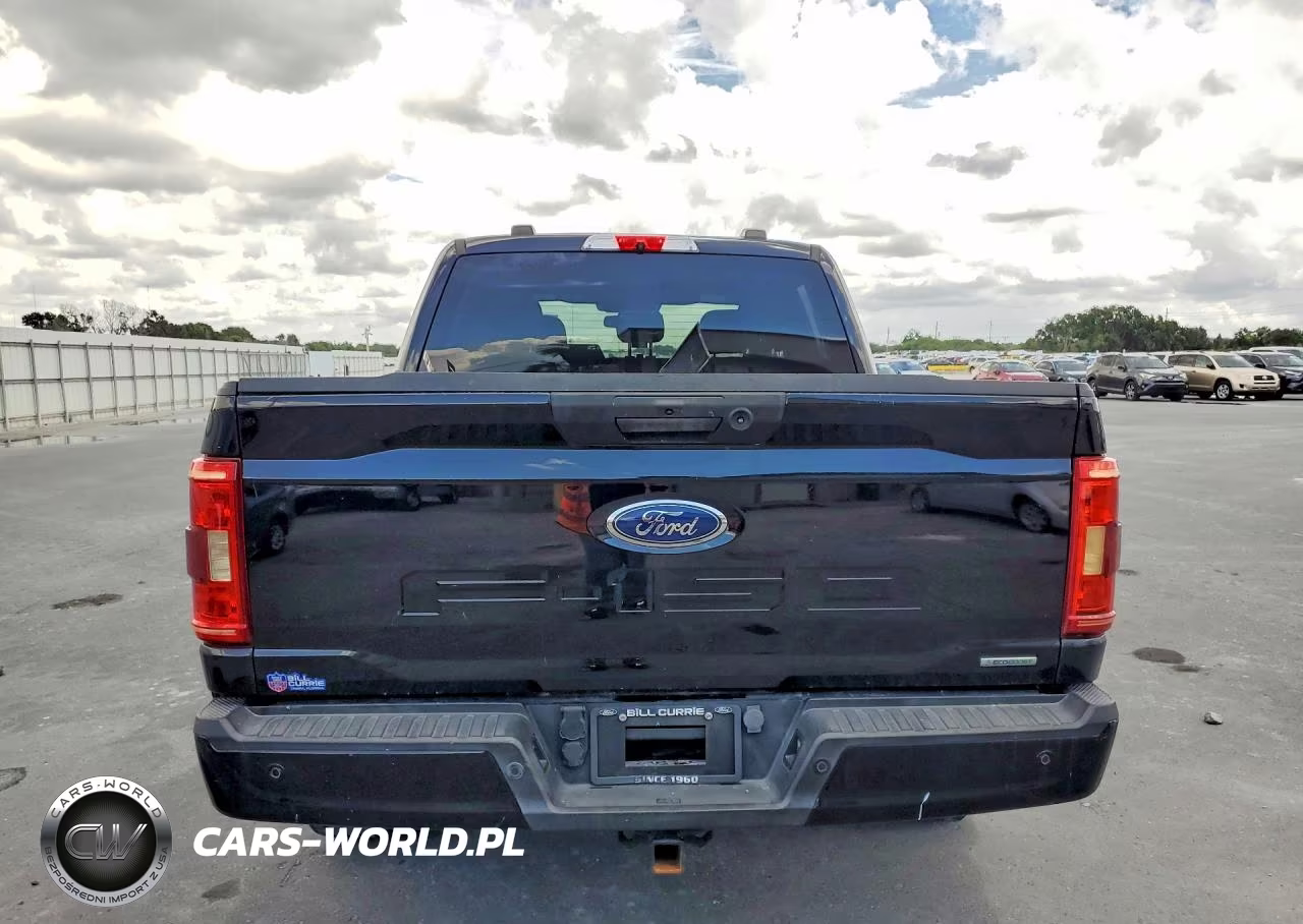 2021 Ford F150 Supercrew VIN:1FTEW1CP7MFC69604 - 6