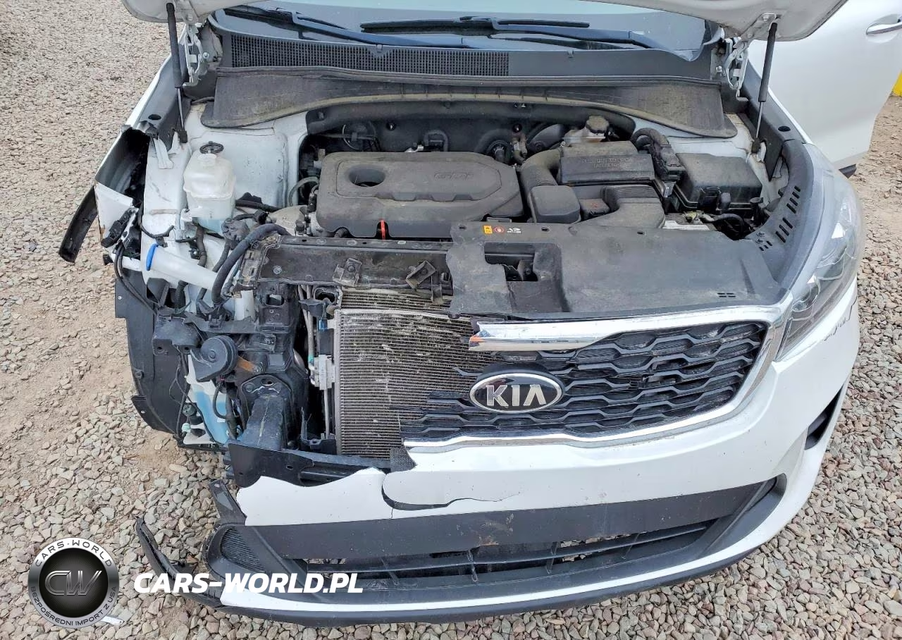 2019 Kia Sorento Lx VIN:5XYPG4A33KG450670 - 12