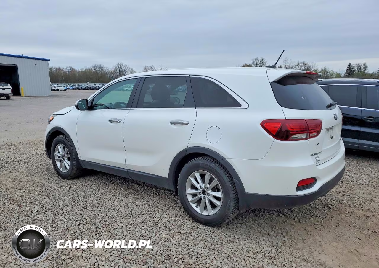 2019 Kia Sorento Lx VIN:5XYPG4A33KG450670 - 2