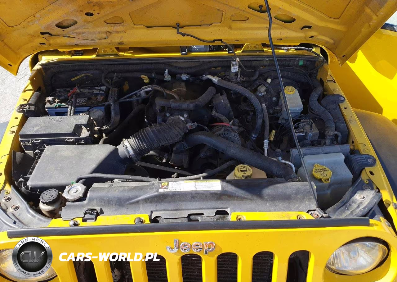 2009 Jeep Wrangler Unlimited X VIN:1J4GA39169L700197 - 12