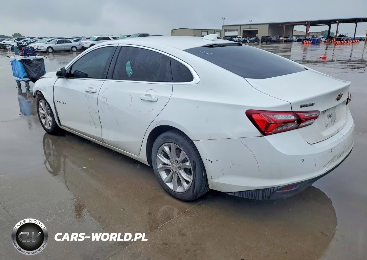 2019 Chevrolet Malibu Lt VIN:1G1ZD5ST0KF201566 - 2