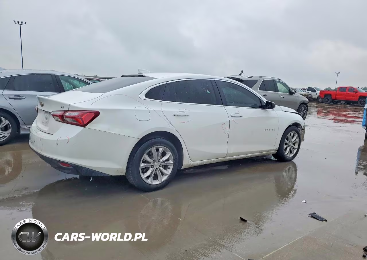 2019 Chevrolet Malibu Lt VIN:1G1ZD5ST0KF201566 - 3