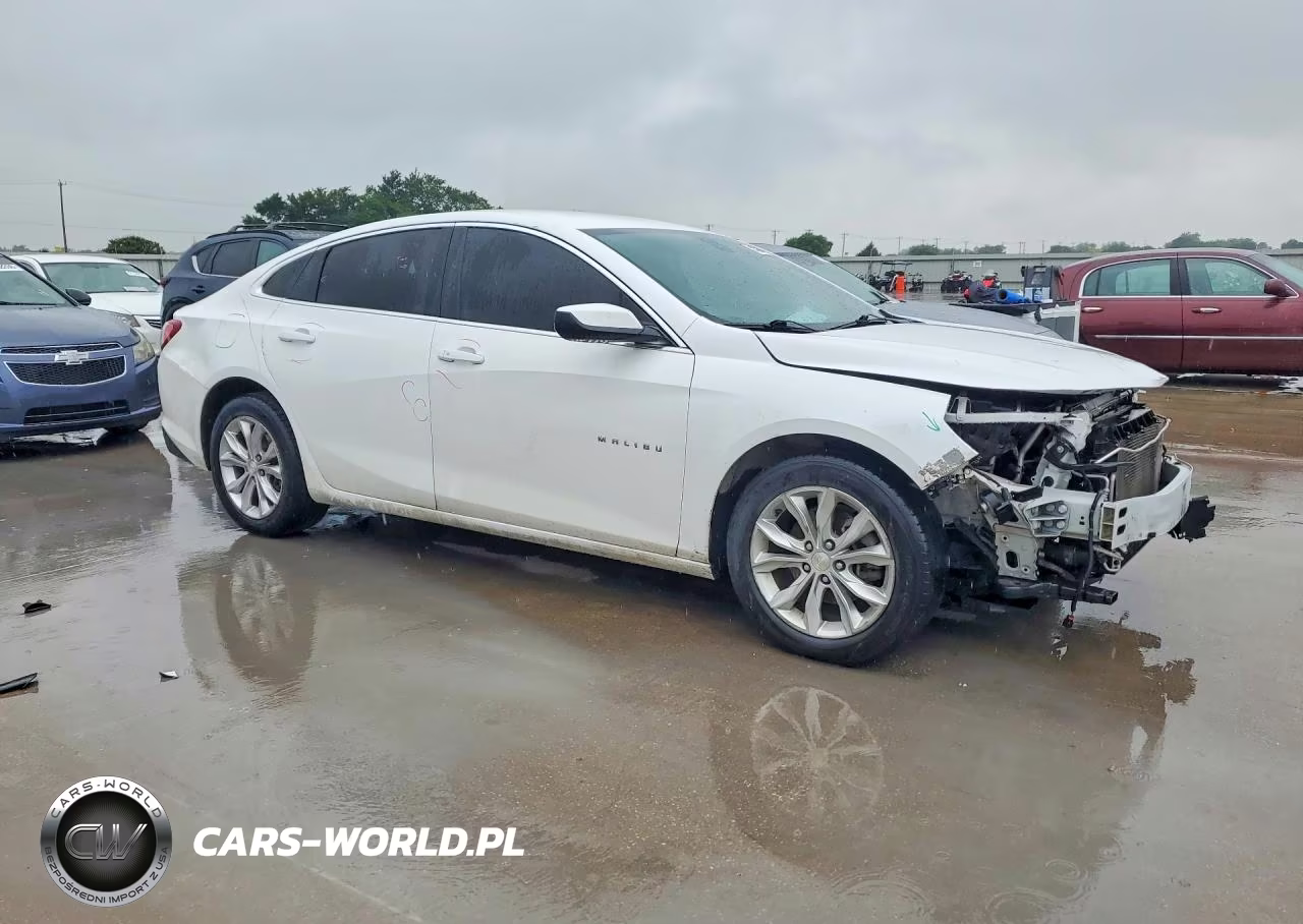2019 Chevrolet Malibu Lt VIN:1G1ZD5ST0KF201566 - 4
