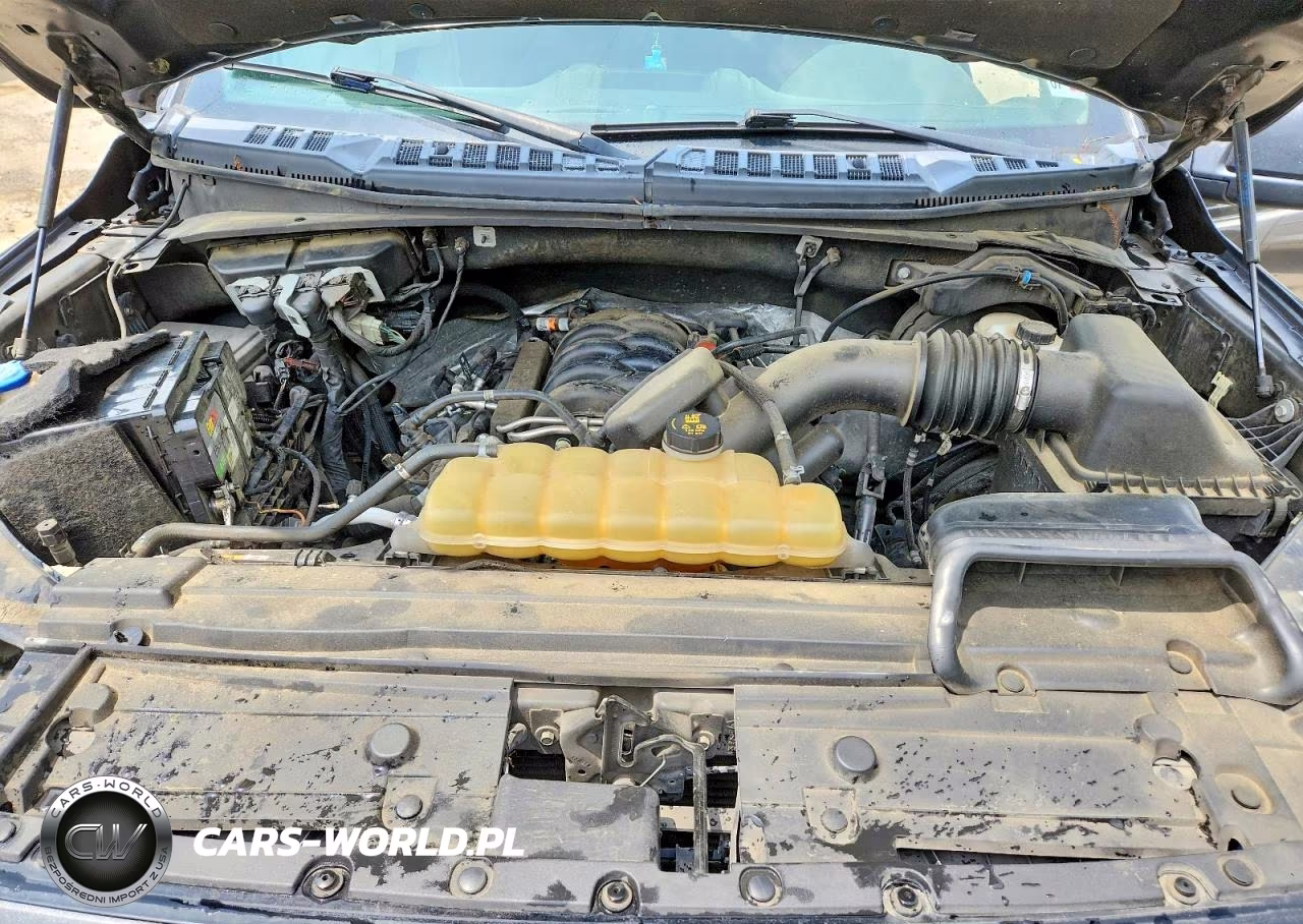 2019 Ford F150 Supercrew VIN:1FTEW1E57KKE75375 - 11