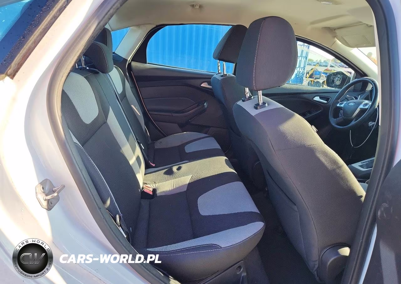 2014 Ford Focus Se VIN:1FADP3F29EL309663 - 10