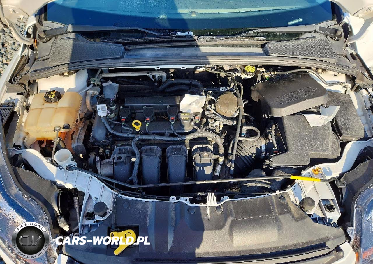 2014 Ford Focus Se VIN:1FADP3F29EL309663 - 11