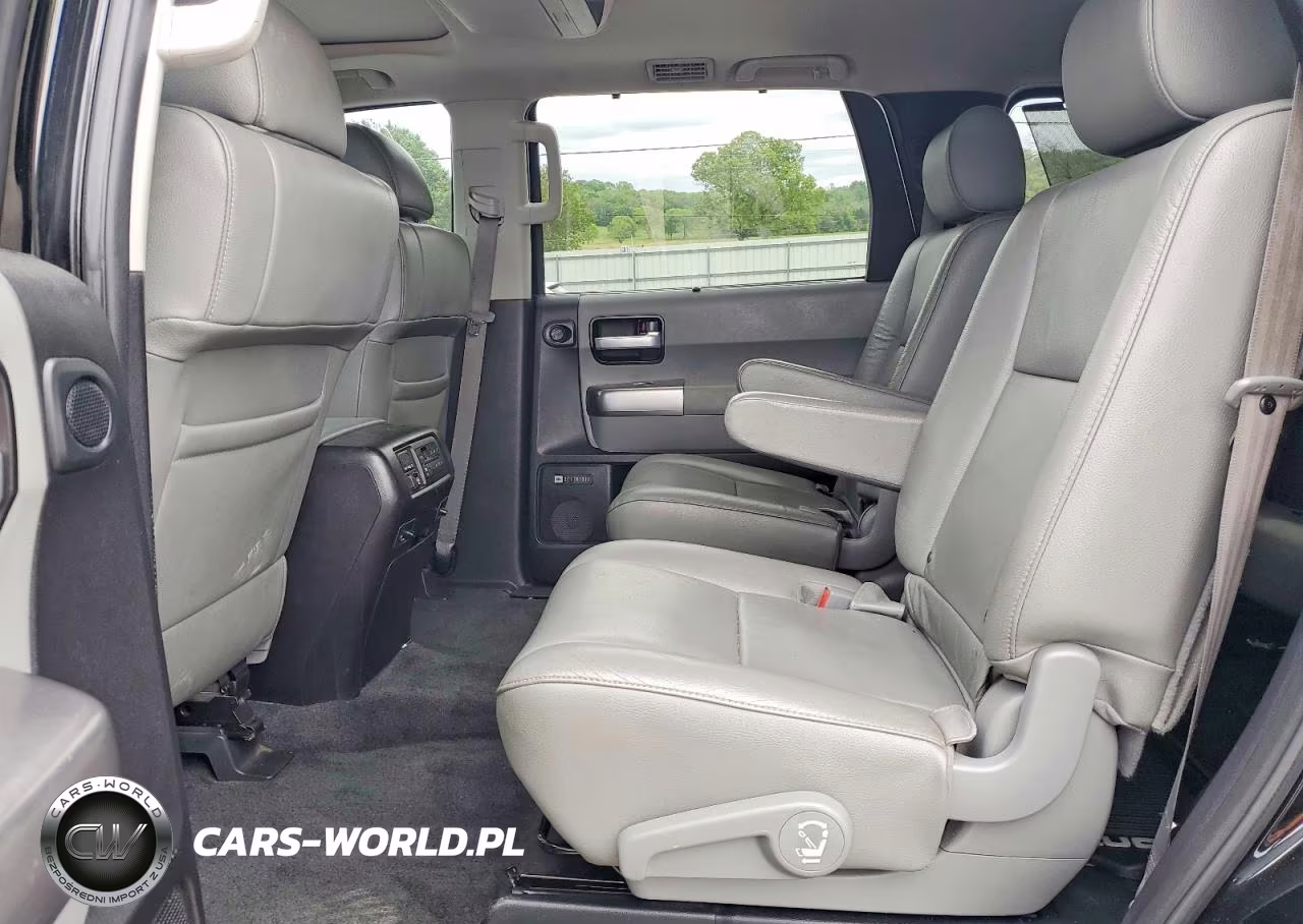 2018 Toyota Sequoia Limited VIN:5TDJY5G19JS165004 - 11