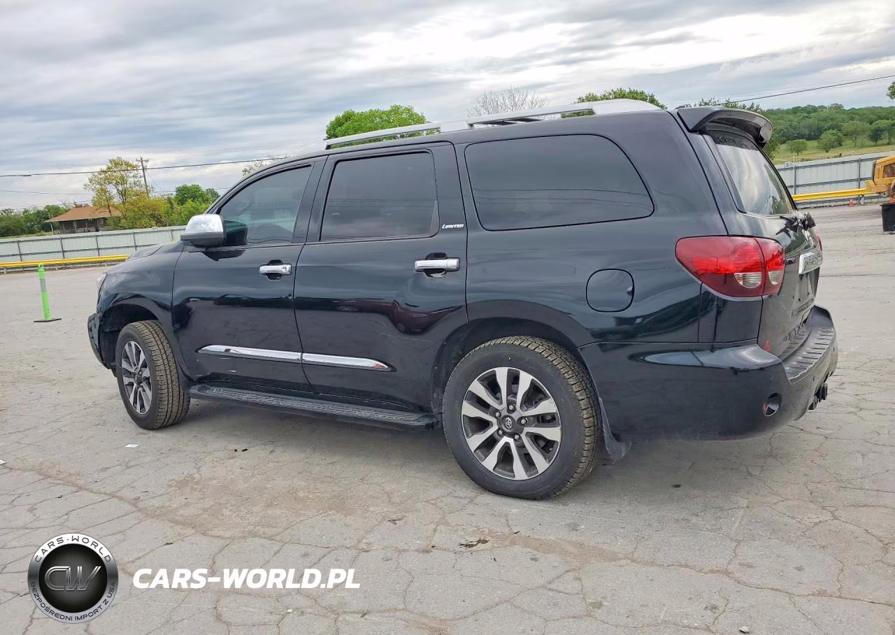 2018 Toyota Sequoia Limited VIN:5TDJY5G19JS165004 - 2