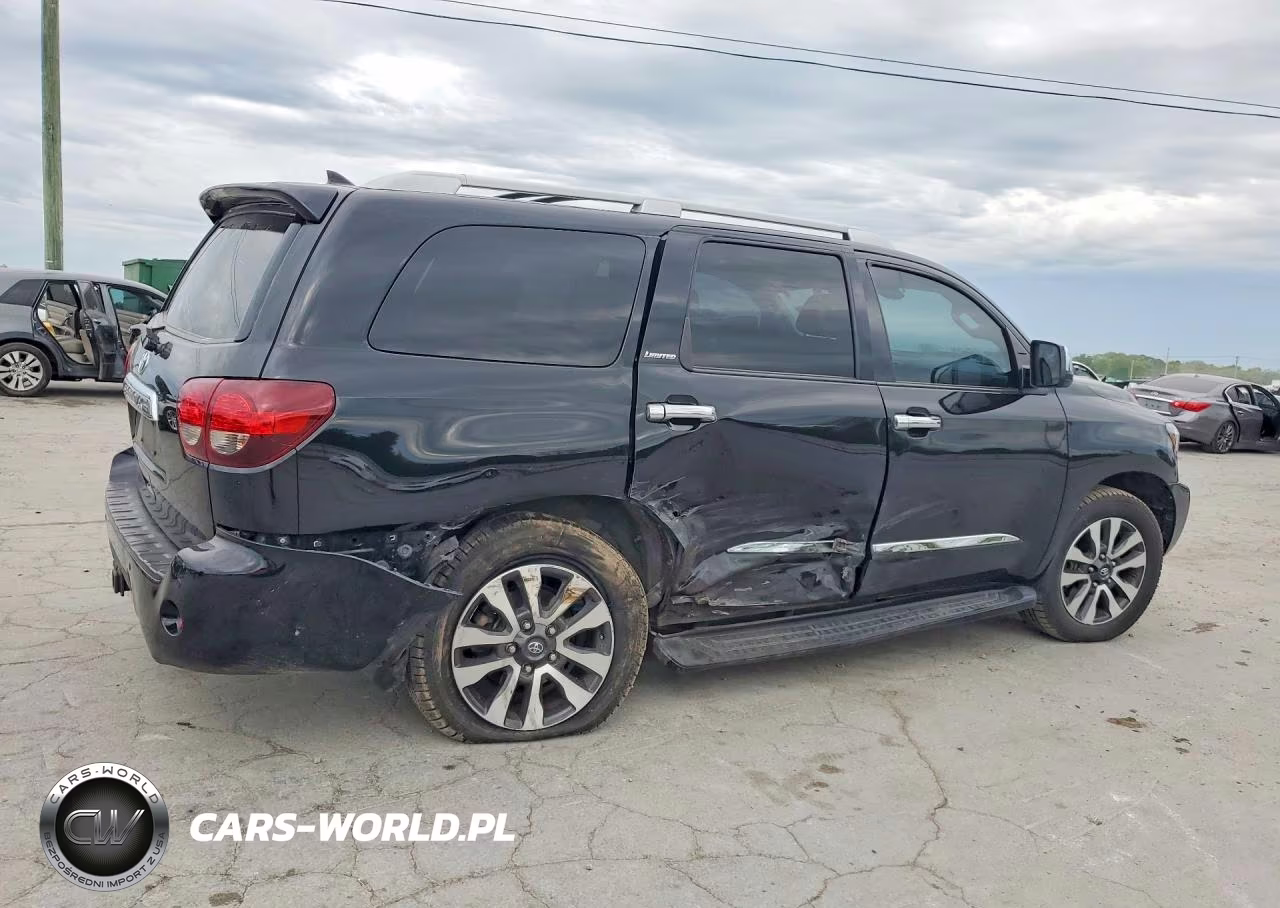 2018 Toyota Sequoia Limited VIN:5TDJY5G19JS165004 - 3