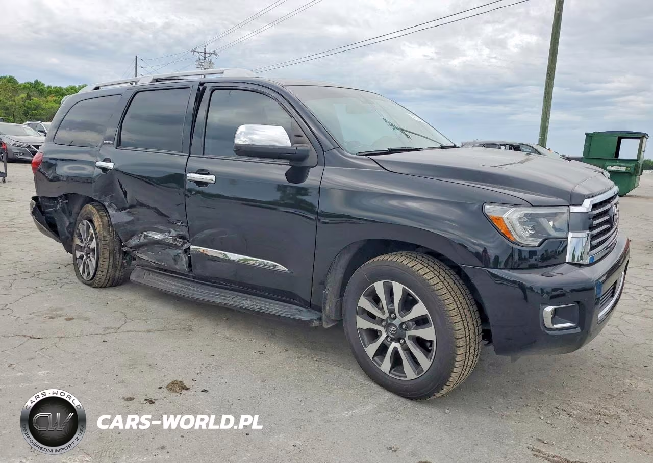 2018 Toyota Sequoia Limited VIN:5TDJY5G19JS165004 - 4