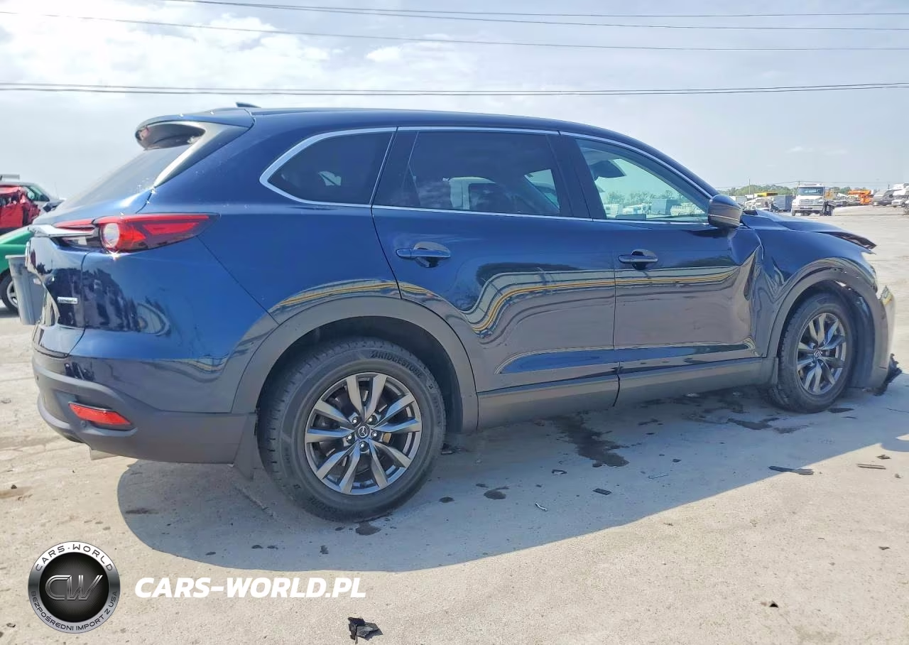 2021 Mazda Cx-9 Touring VIN:JM3TCBCY7M0529055 - 3