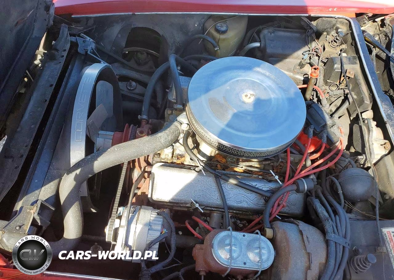 1978 Chevrolet Corvette VIN:1Z87L8S409152 - 11