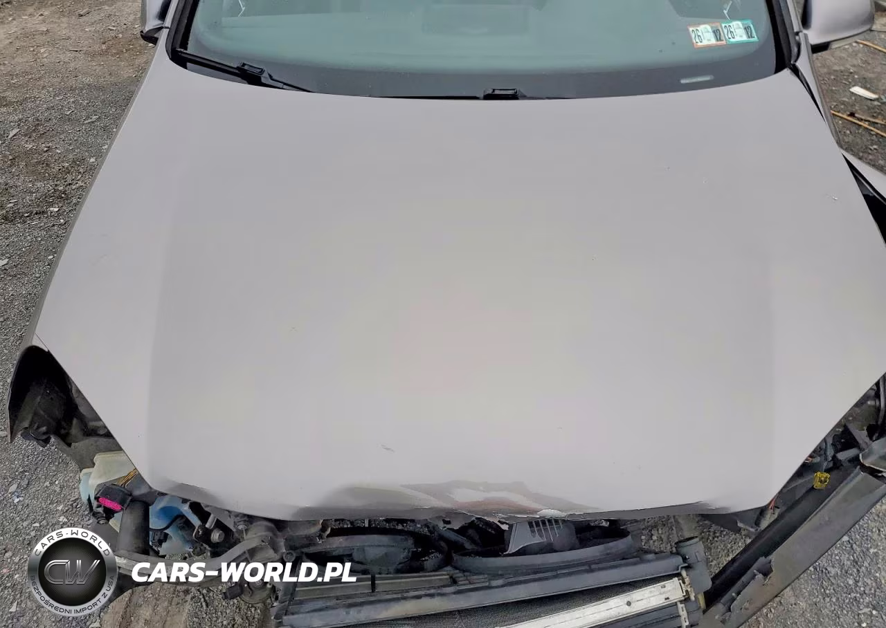 2007 Volkswagen New Gti VIN:WVWGV71KX7W252208 - 11