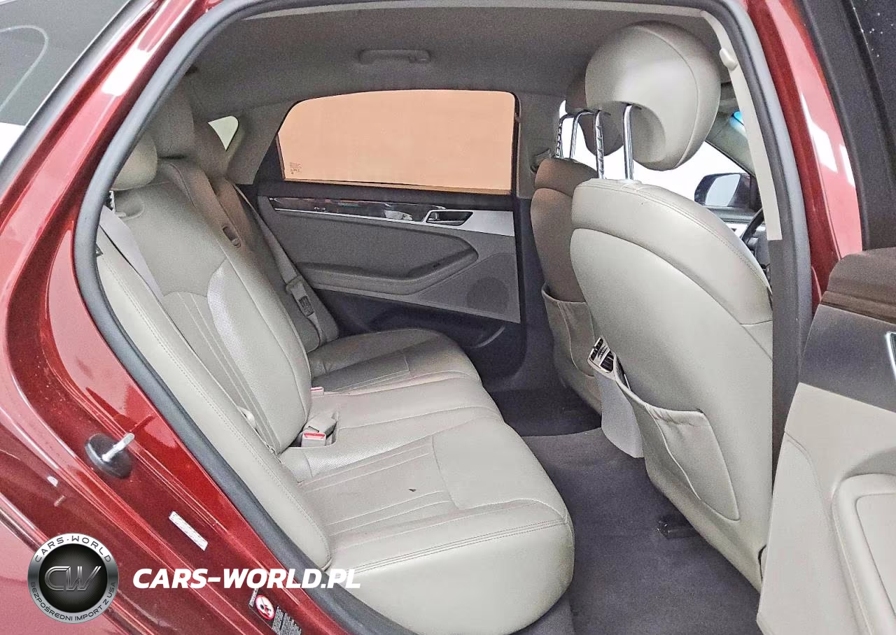 2015 Hyundai Genesis 3.8L VIN:KMHGN4JE5FU096318 - 10