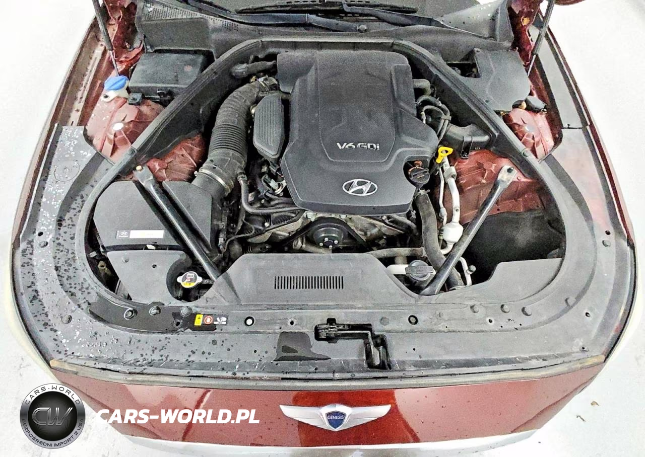 2015 Hyundai Genesis 3.8L VIN:KMHGN4JE5FU096318 - 11
