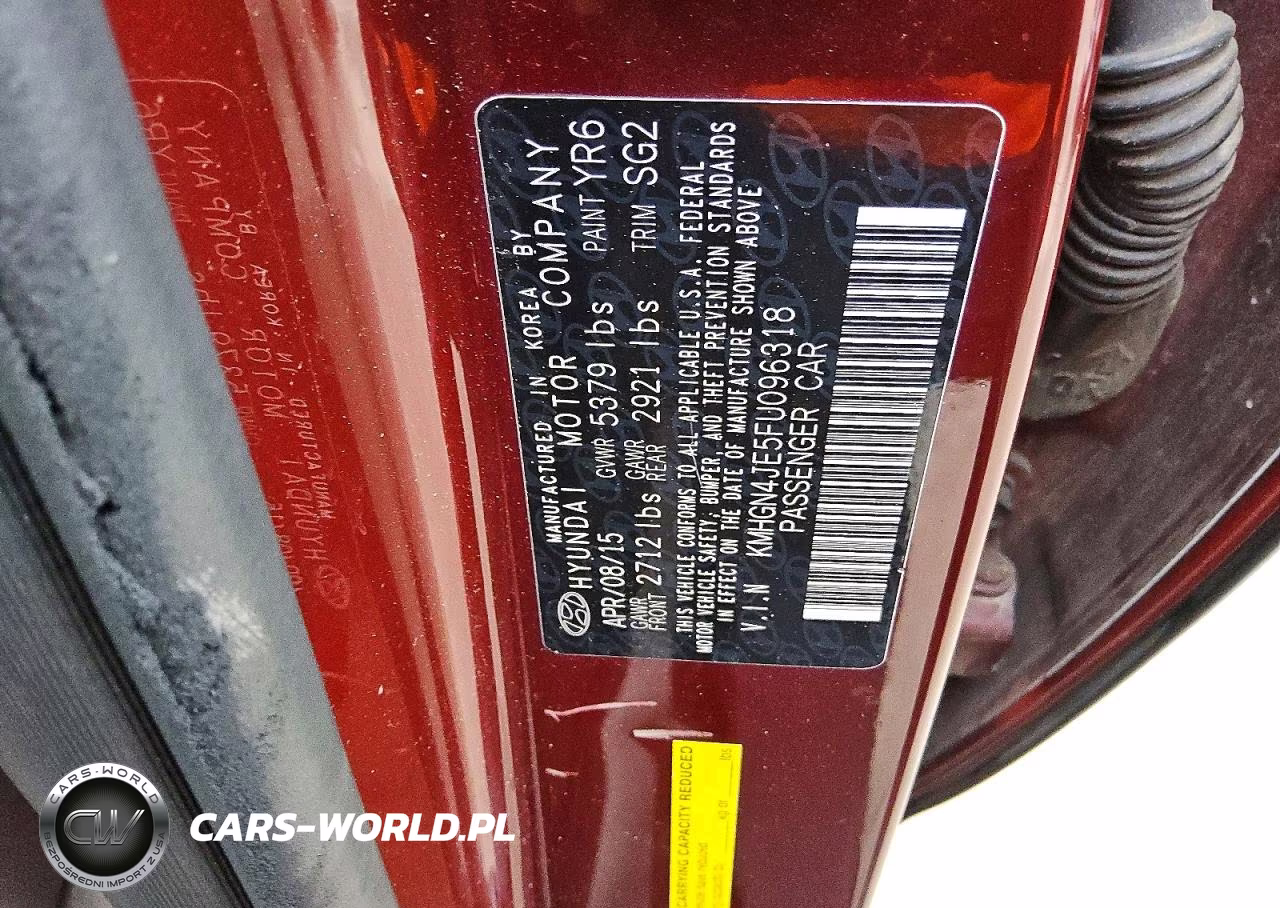 2015 Hyundai Genesis 3.8L VIN:KMHGN4JE5FU096318 - 12