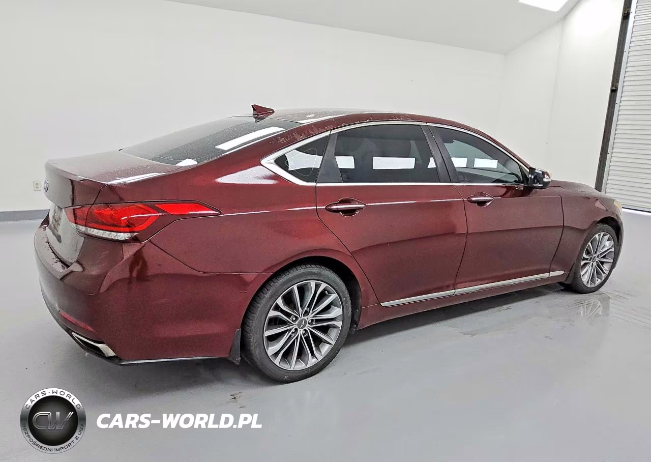2015 Hyundai Genesis 3.8L VIN:KMHGN4JE5FU096318 - 3
