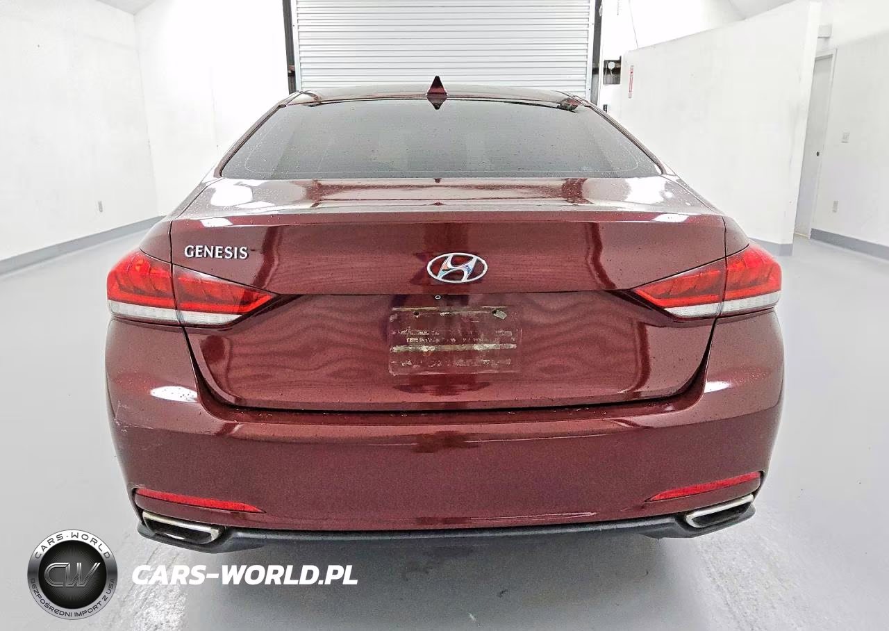 2015 Hyundai Genesis 3.8L VIN:KMHGN4JE5FU096318 - 6