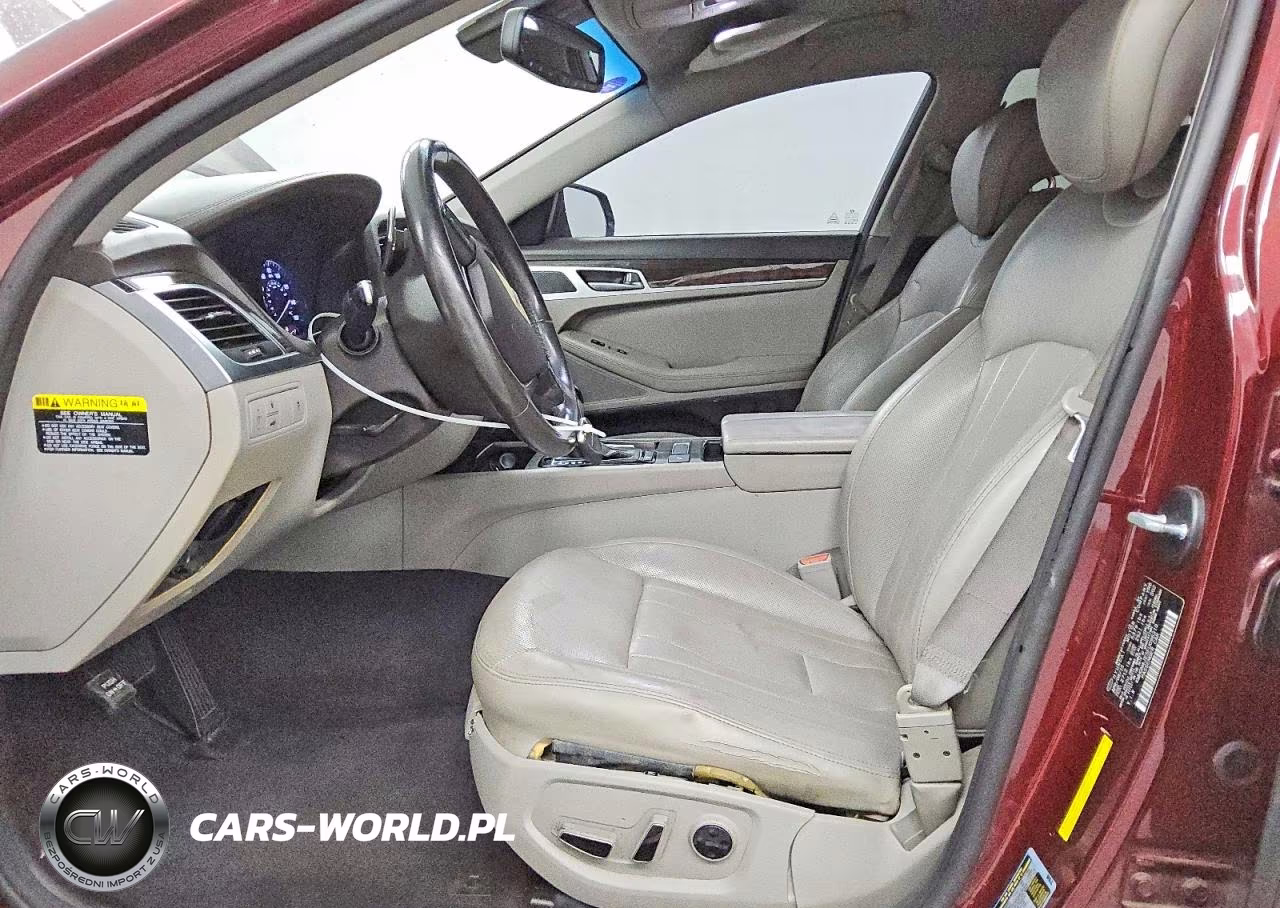 2015 Hyundai Genesis 3.8L VIN:KMHGN4JE5FU096318 - 7