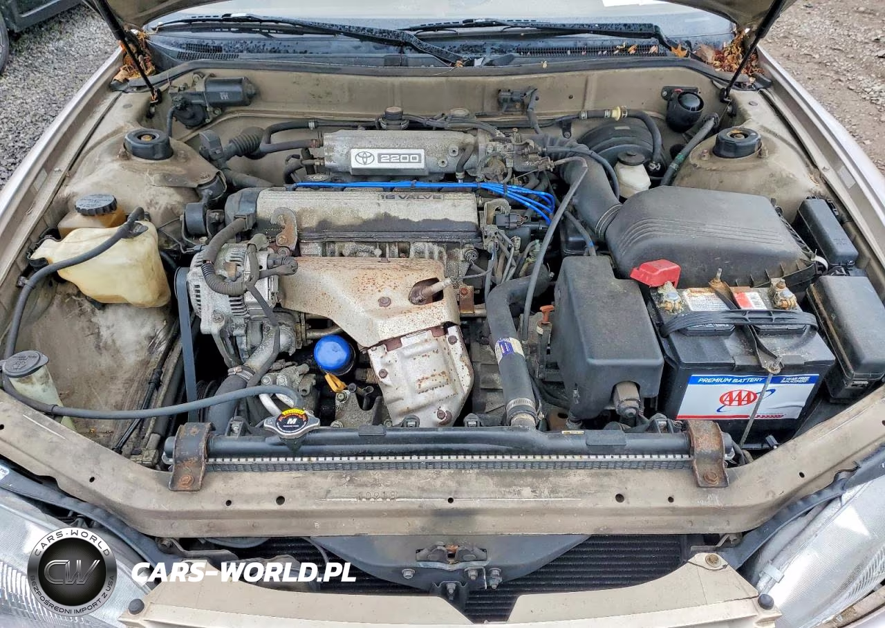 1995 Toyota Camry Le VIN:4T1SK12E1SU619800 - 11