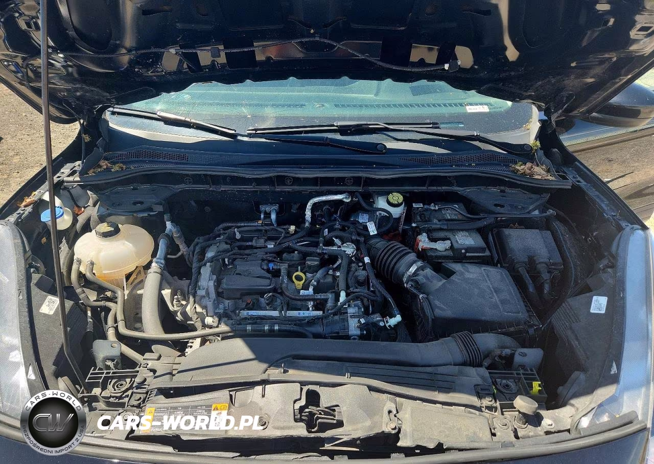 2021 Ford Escape Se VIN:1FMCU9G66MUA87378 - 12