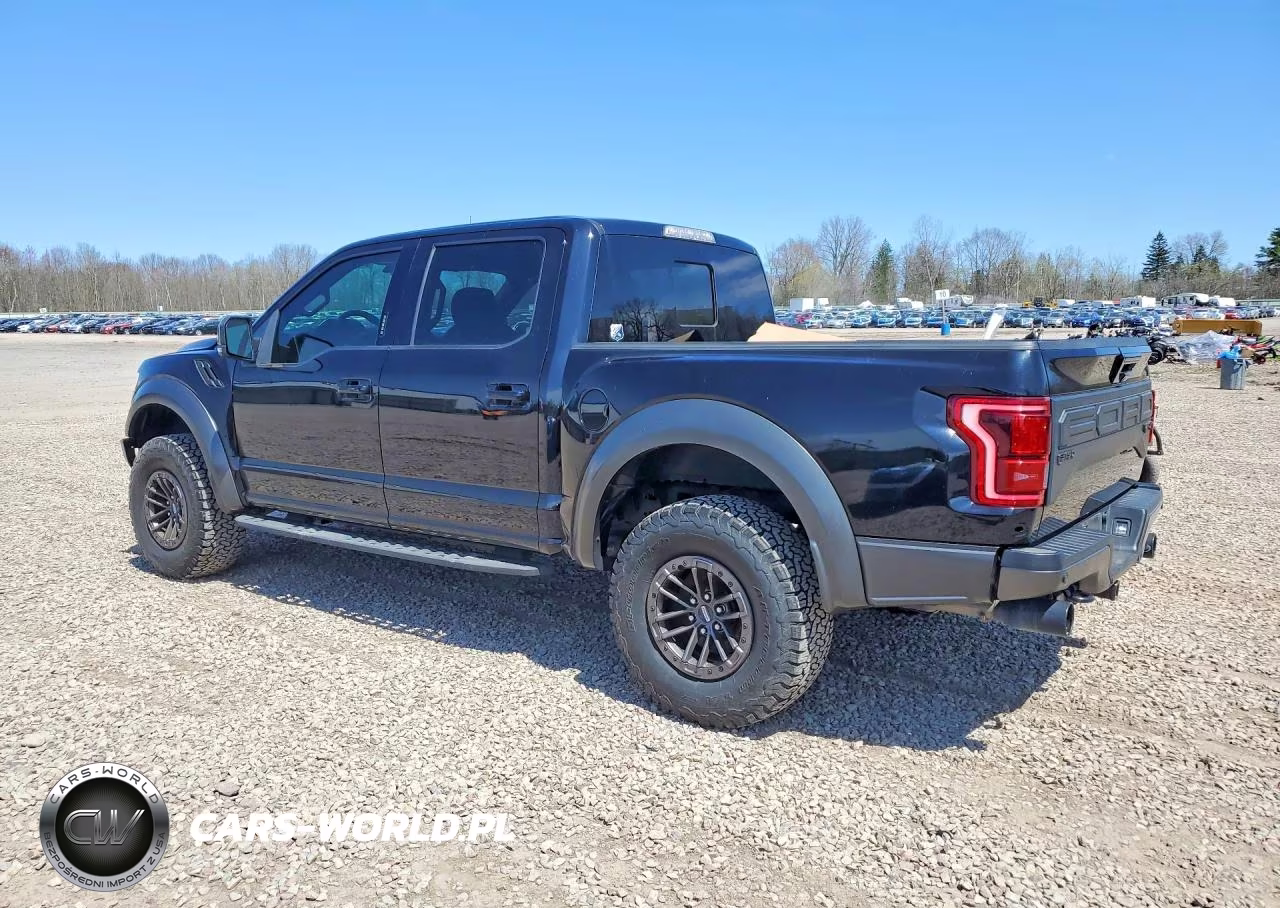 2020 Ford F150 Raptor VIN:1FTFW1RG0LFA31751 - 2
