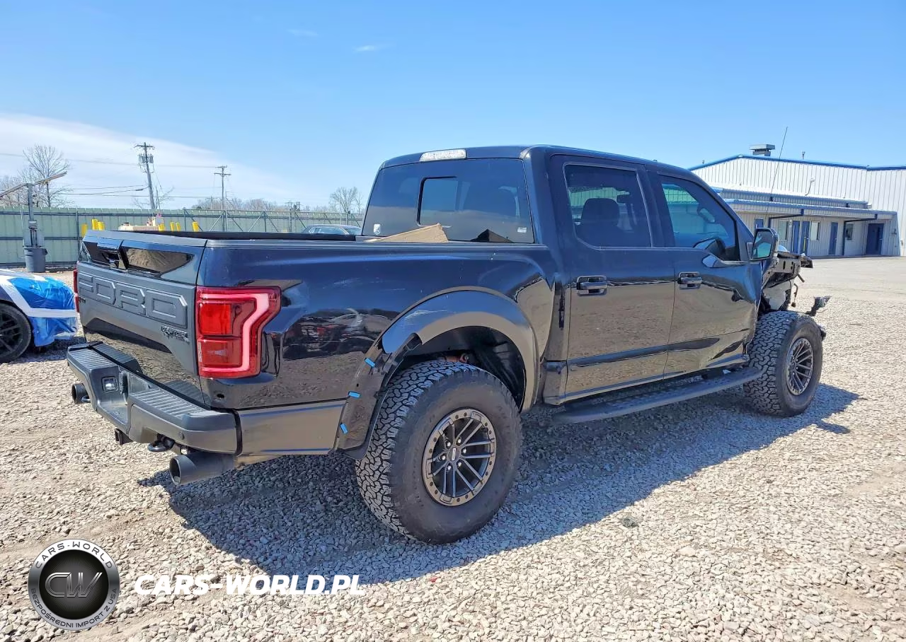 2020 Ford F150 Raptor VIN:1FTFW1RG0LFA31751 - 3