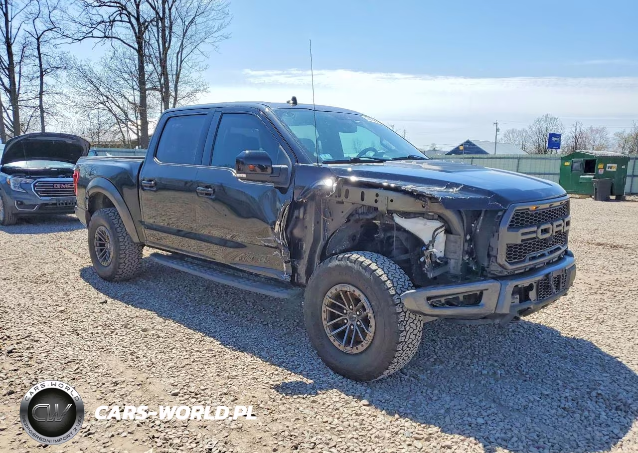 2020 Ford F150 Raptor VIN:1FTFW1RG0LFA31751 - 4