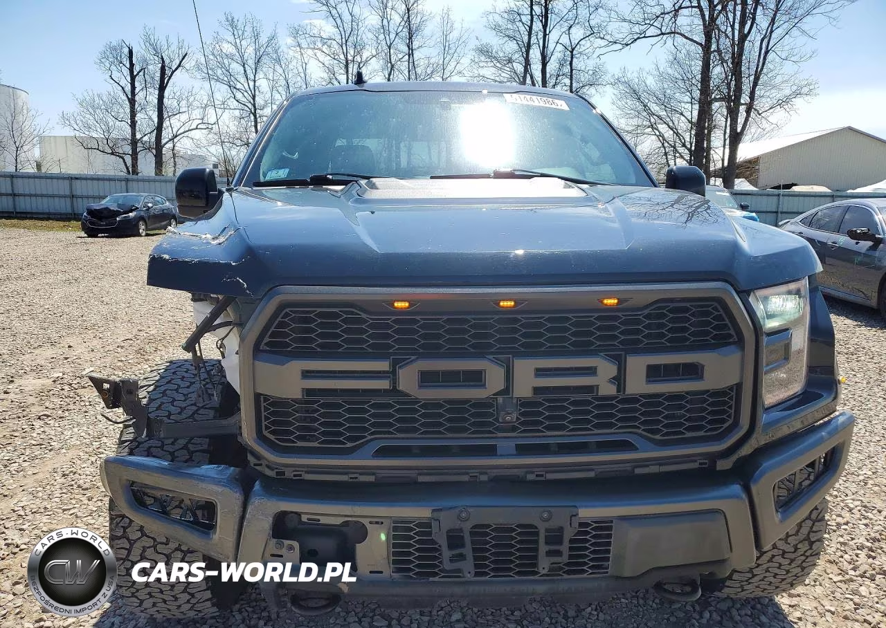 2020 Ford F150 Raptor VIN:1FTFW1RG0LFA31751 - 5