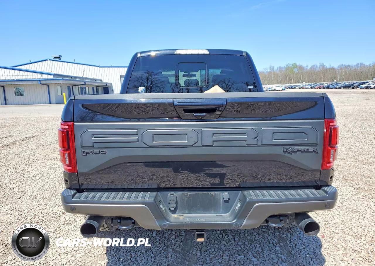 2020 Ford F150 Raptor VIN:1FTFW1RG0LFA31751 - 6