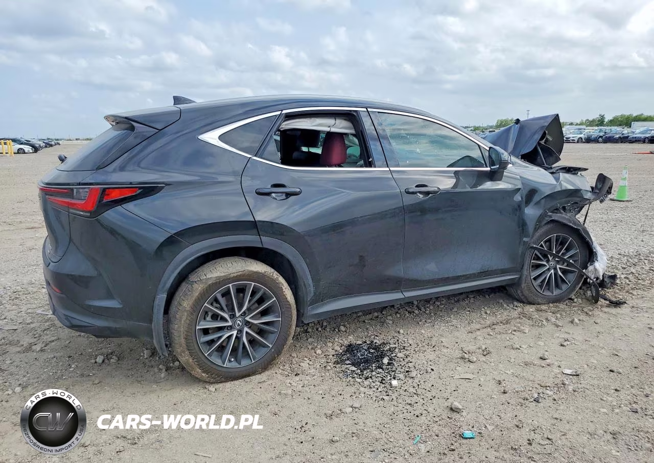 2024 Lexus Nx 350 Luxury VIN:2T2HGCEZ9RC044228 - 3