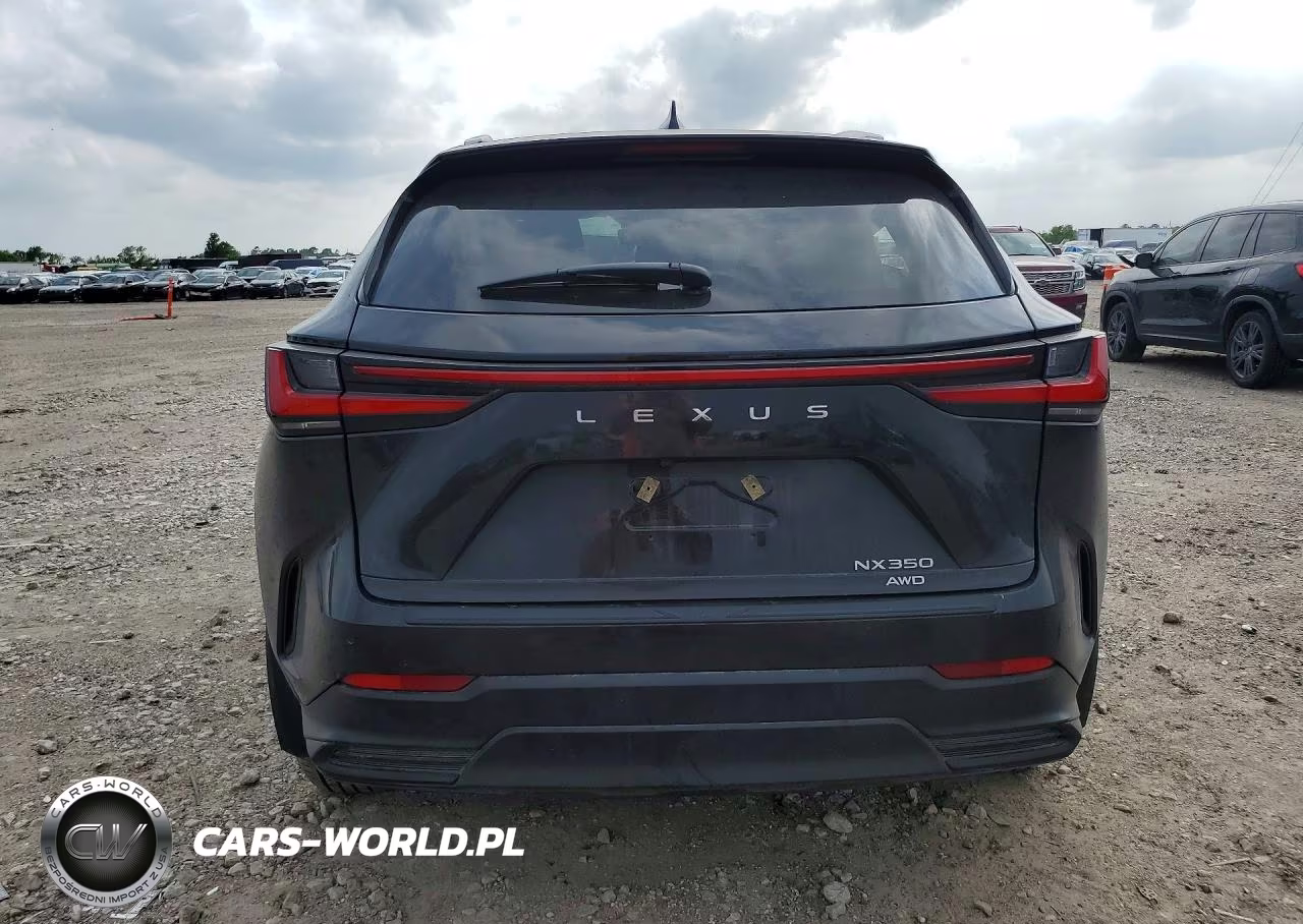 2024 Lexus Nx 350 Luxury VIN:2T2HGCEZ9RC044228 - 6