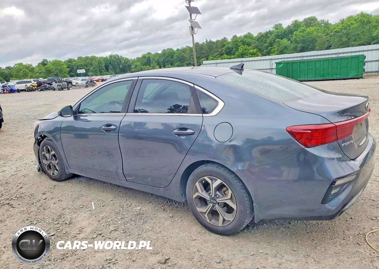2019 Kia Forte Ex VIN:3KPF54AD1KE025696 - 2