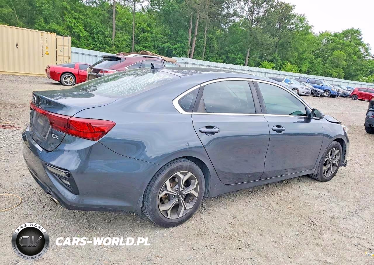2019 Kia Forte Ex VIN:3KPF54AD1KE025696 - 3
