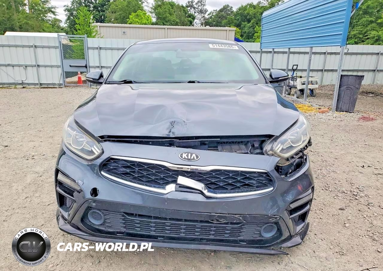 2019 Kia Forte Ex VIN:3KPF54AD1KE025696 - 5