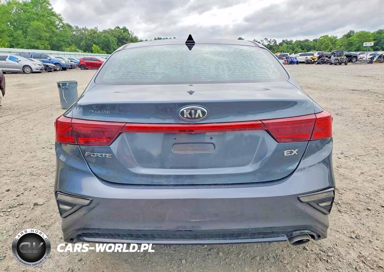 2019 Kia Forte Ex VIN:3KPF54AD1KE025696 - 6