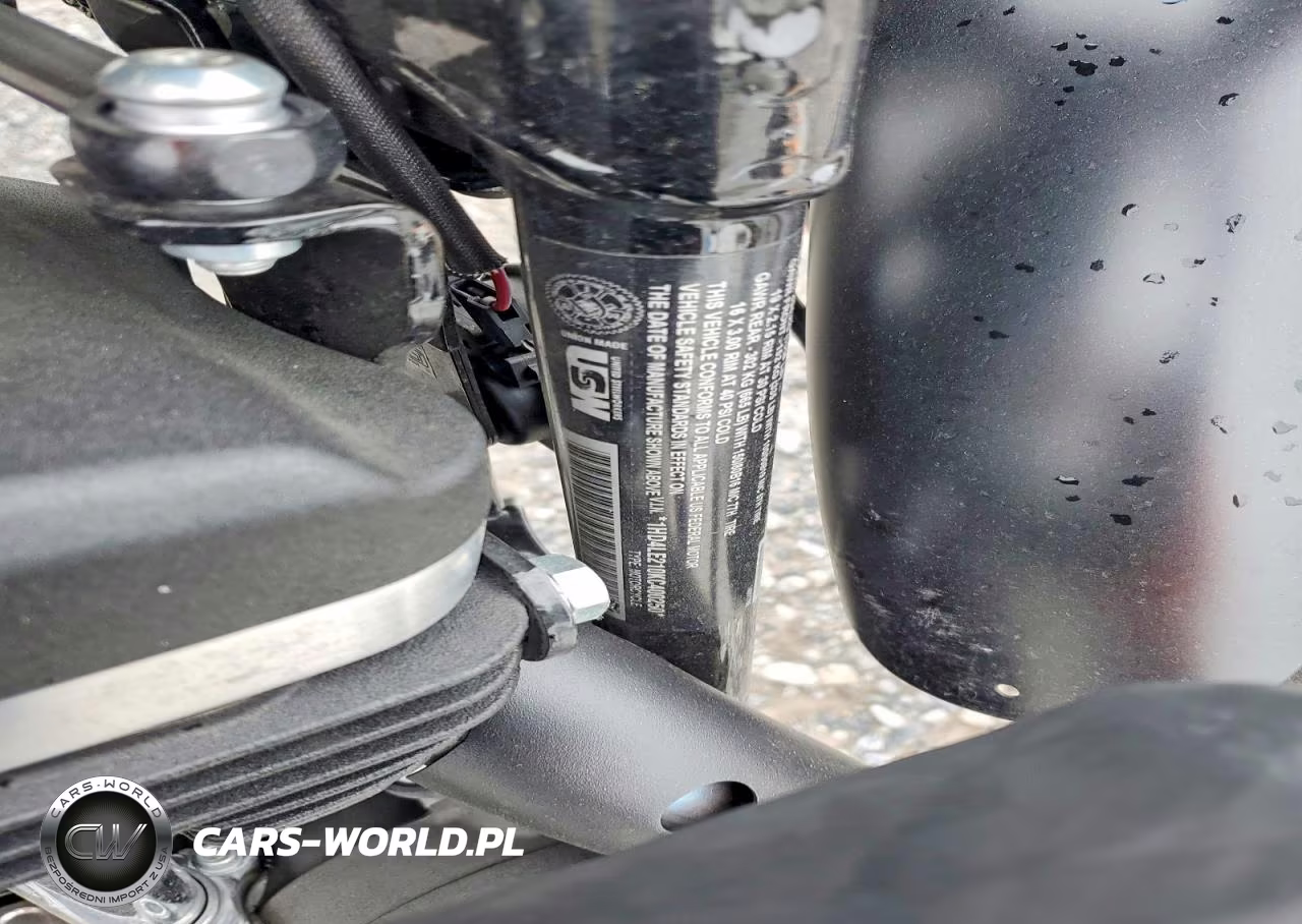 2019 Harley-Davidson Xl883 N VIN:1HD4LE210KC400250 - 9