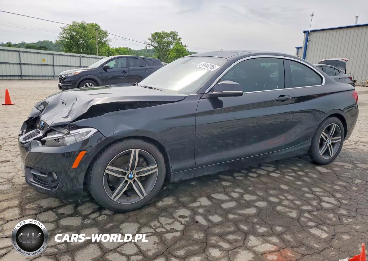 2017 BMW 230I