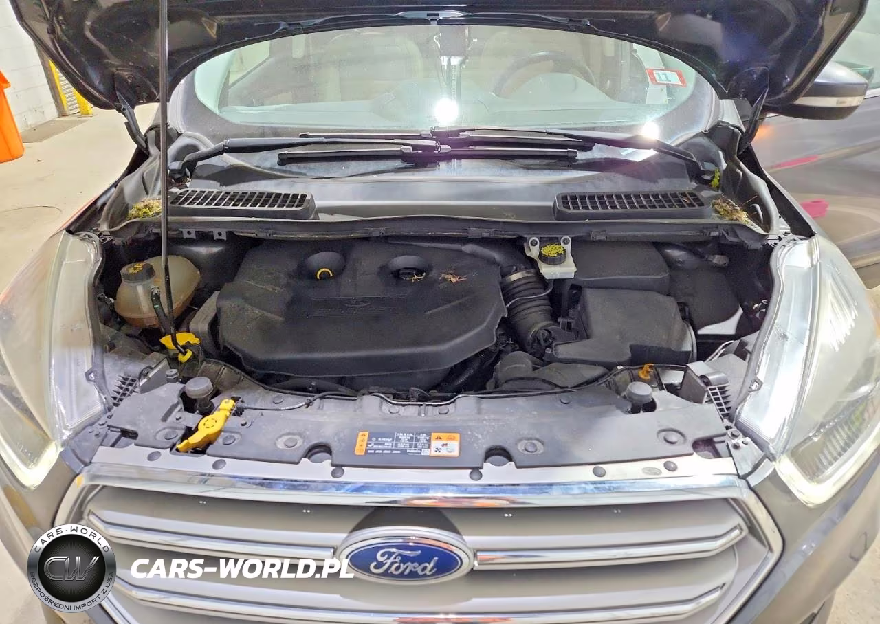 2017 Ford Escape Titanium VIN:1FMCU9J98HUC13023 - 12